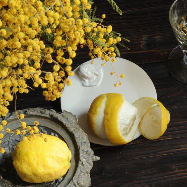 💛🌾🍋J’adore la période du mimosa qui réveille l’hiver.
🍽 Assiettes👰🏼‍♀️@lilougalas / 💌 Commande en MP ou sur le site lilougalas.com
Magnifique photo @eve.cardi_ 📸

#decoration #sweethome #ceramics #ceramiquefrancaise #ceramicart #exvoto #voeux #victorian #vierge #virgin #handmade #madeinfrance #saison #hiver #winter #table #fetes #newyear #2024 #mimosa #yellow #flowers